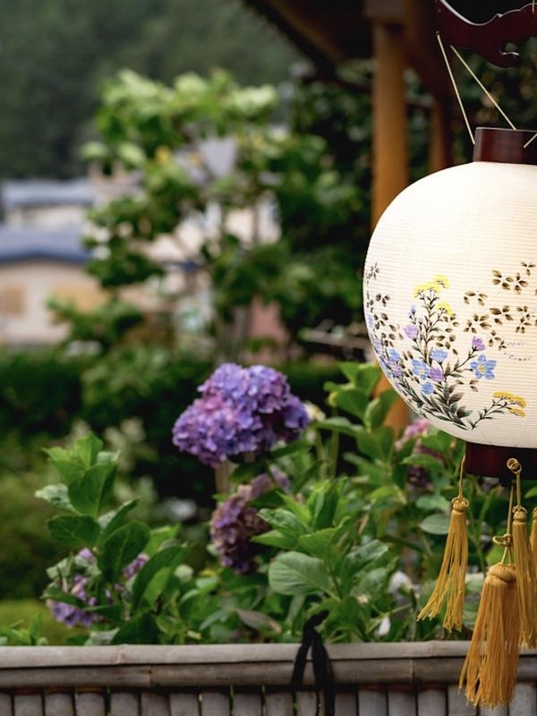 お盆の提灯と紫陽花